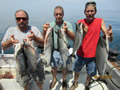 Lake Ontario Fishing