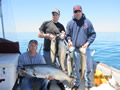 Lake Ontario Fishing